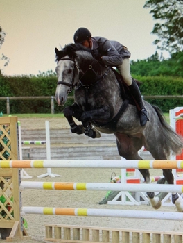 Derek Morton lands the Nupafeed Supplements Senior Discovery Second Round at Field House Equestrian Centre